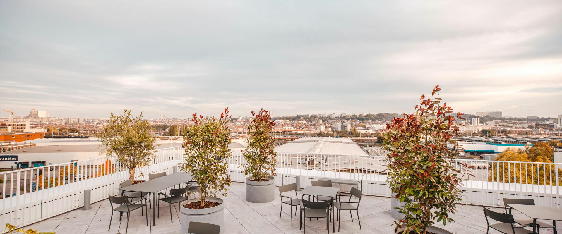 City Dox -Rooftop White Angle